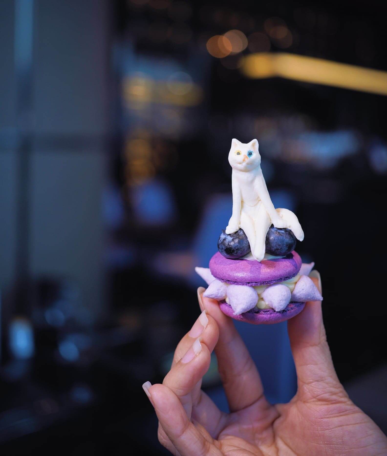 靚到不捨得吃!立體貓咪馬卡龍!