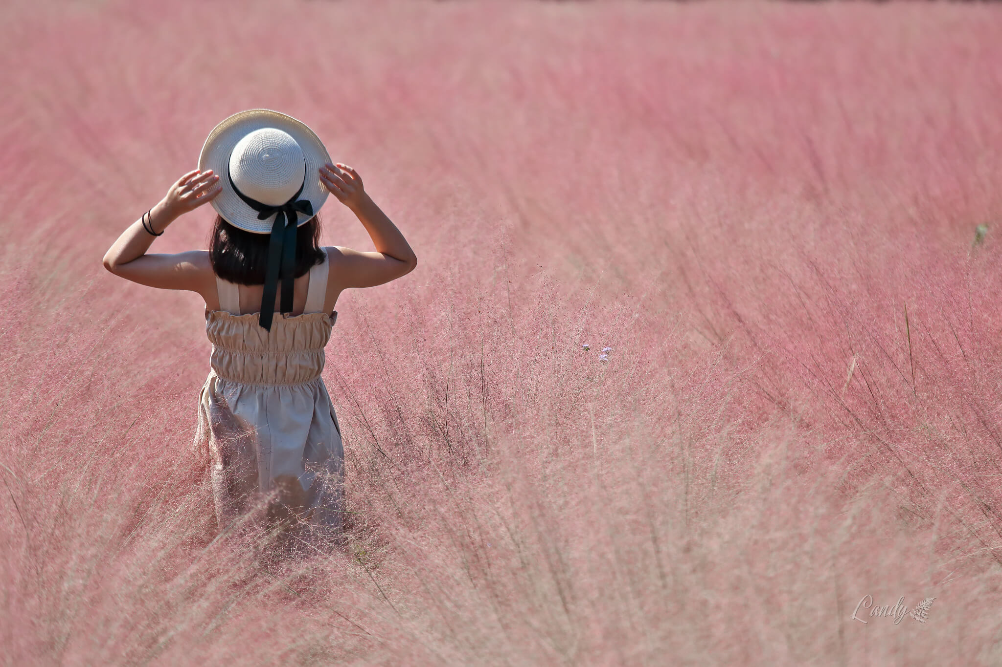 2020年秋季,「南投縣集集鎮粉芒園」全新成立,吸引一眾網美遊園打卡!(攝影:李文欽,FB:Landy Kuso)