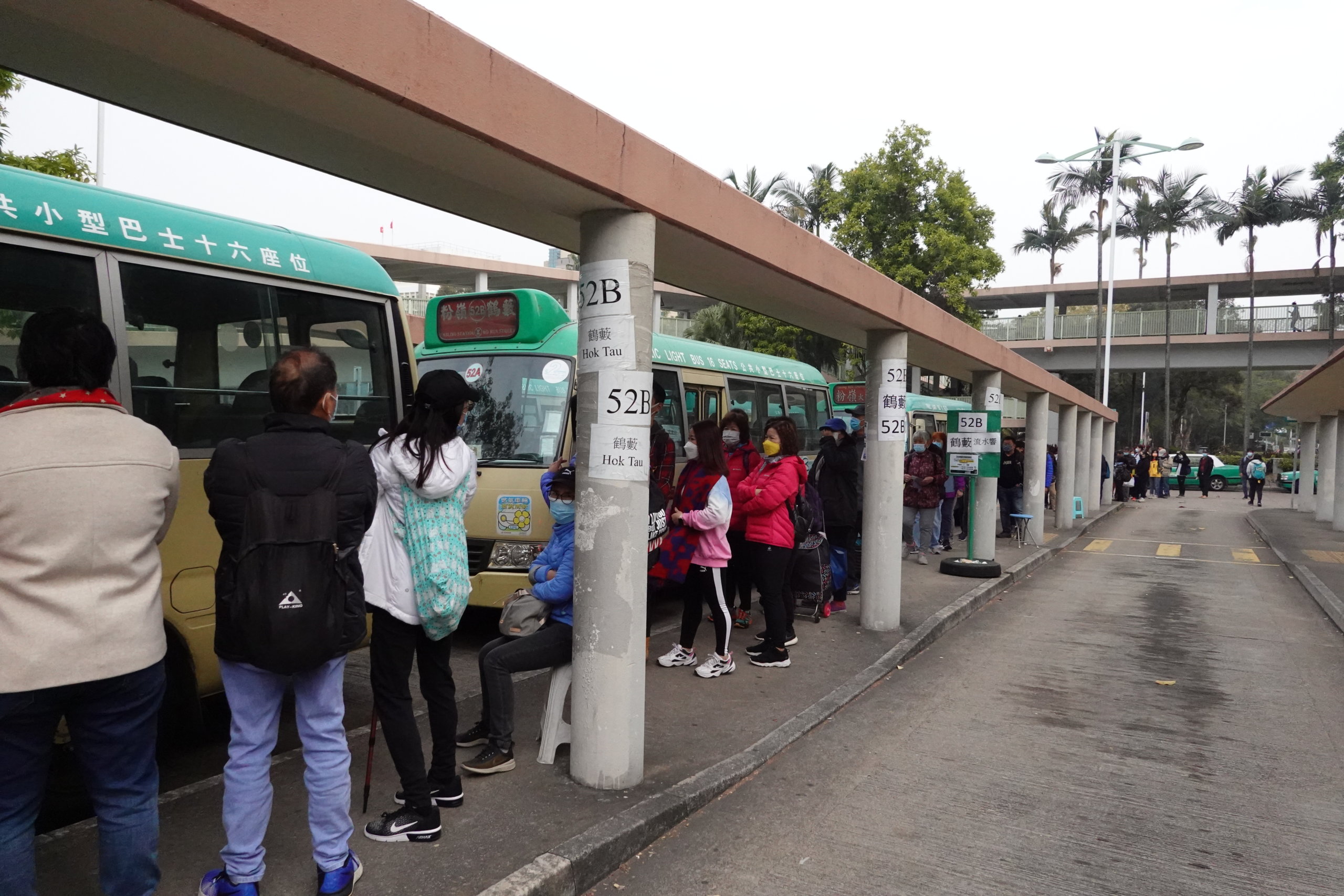 落羽松季,乘車前往流水響的人流相當多!