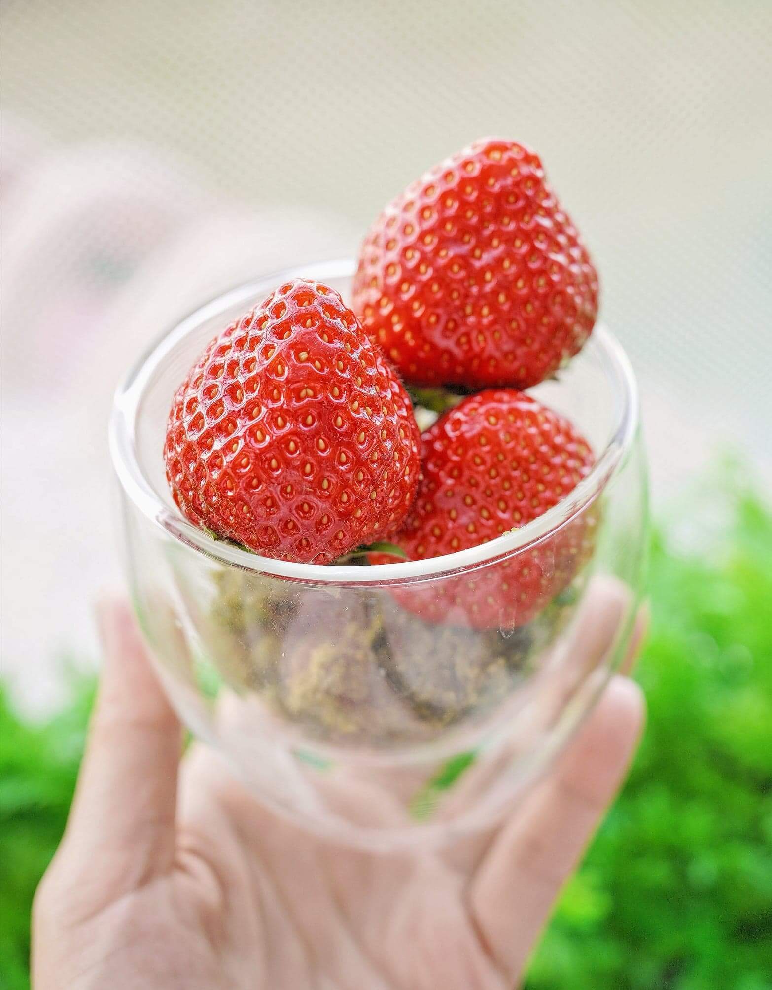新鮮博多甜王草莓杯(另加HK$50)