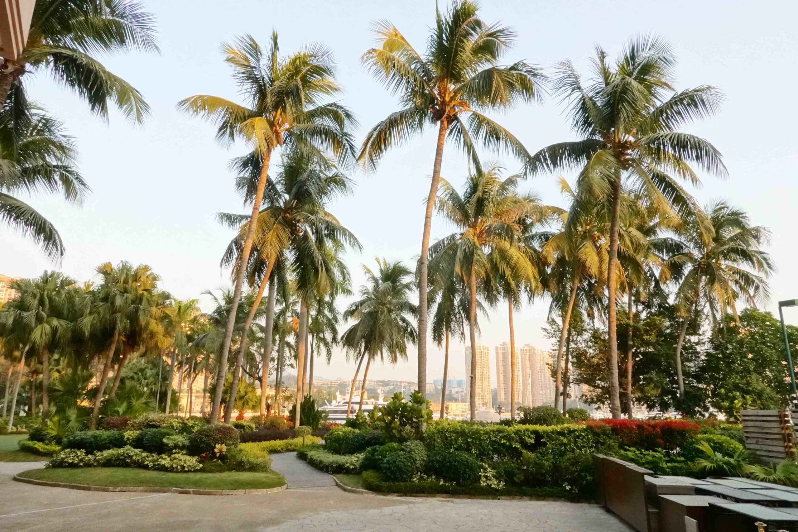 喺酒店內嘅聆渢咖啡廳,環境充滿熱帶風情,最適合偽旅遊!