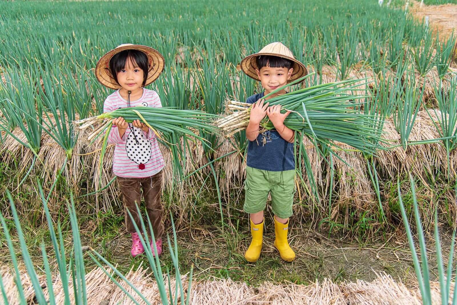 「綠色經濟」遊程中提供了多種農村體驗。
