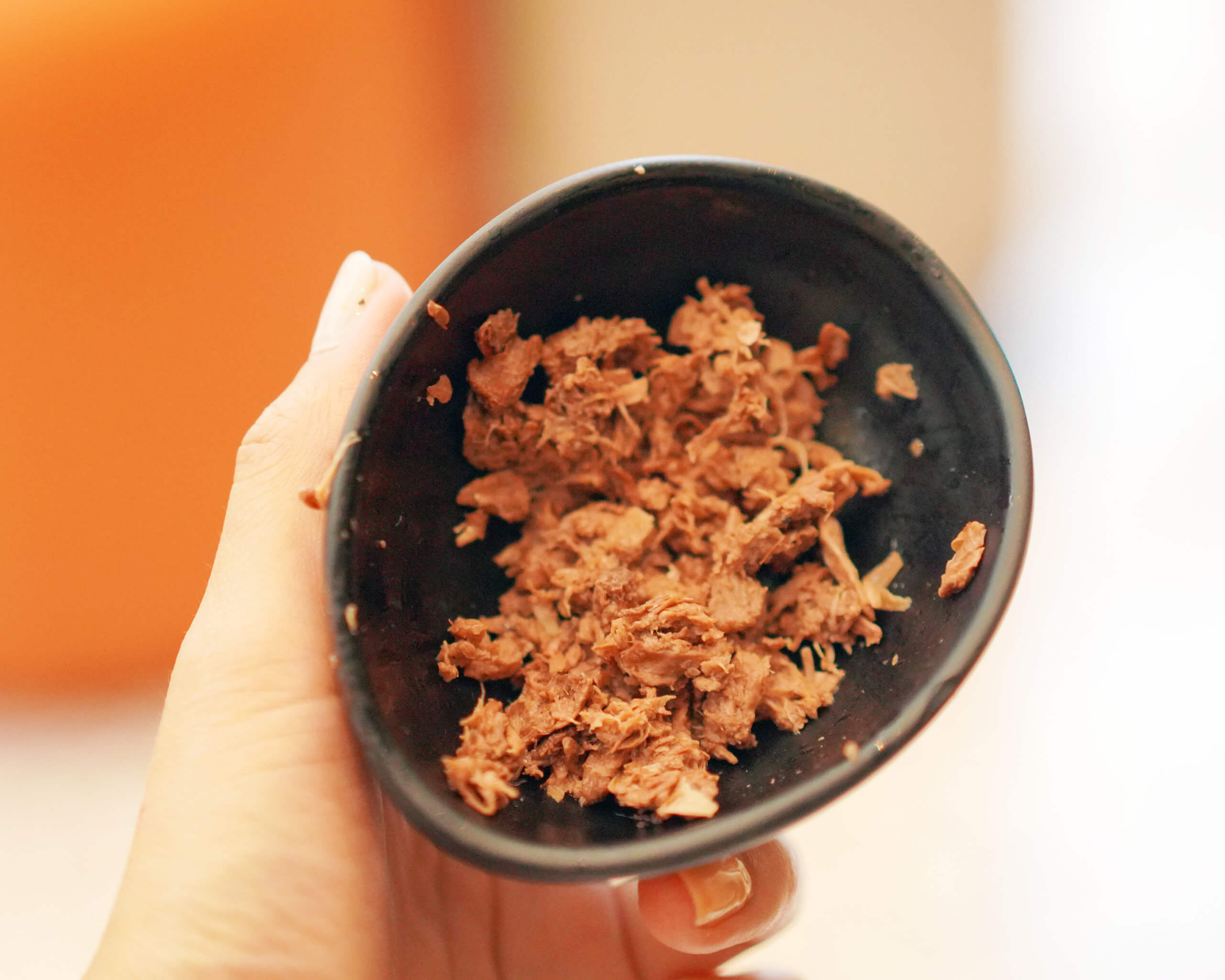 KARANA將大樹菠蘿果衣加工，製成質感與碎豬肉相似嘅素肉新品。